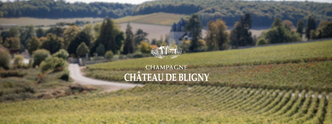 Château de Bligny