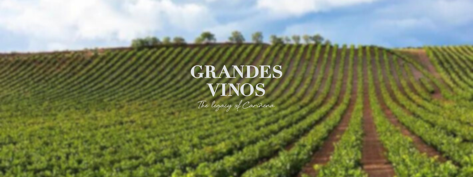 Grandes Vinos